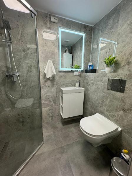 Przystanek Katowice Aleja Korfantego 8 Apartman Kültér fotó